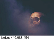 Halloween concept background, vintage filter tone, dark mode. Стоковое фото, агентство Ingram Publishing / Фотобанк Лори