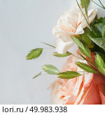 Delicate wedding bouquet macro shot, with a place under the text. Delicate wedding bouquet. Стоковое фото, агентство Ingram Publishing / Фотобанк Лори
