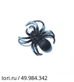 Spider fakes for use in Halloween. Стоковое фото, агентство Ingram Publishing / Фотобанк Лори