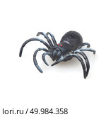 Spider fakes for use in Halloween. Стоковое фото, агентство Ingram Publishing / Фотобанк Лори