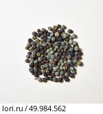 Aromatic spices peper for preparing homemade food on a white with place for text. Food or spicy cooking concept. Flat lay. Spices pattern of different kinds of pepper -black, green on a white background . Стоковое фото, агентство Ingram Publishing / Фотобанк Лори