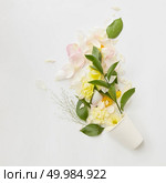 Top view of bouquet of flowers represented in pot isolated on white background. Blank space may be used for noting your ideas, emotions, etc.. Bouquet of flowers. Стоковое фото, агентство Ingram Publishing / Фотобанк Лори