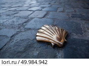 Milestone in shape of a shell inserted in the pavement natural light, brussels. St James shell in Brussels. Стоковое фото, агентство Ingram Publishing / Фотобанк Лори