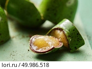 broken candy with jelly on a green background. broken candy with jelly. Стоковое фото, агентство Ingram Publishing / Фотобанк Лори