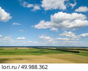 Aerial panoramic view from drone of agricultural fields with harvesting of a combine and blue sunny sky, white clouds in a summer day at sunset.. Summer landscape with agricultural fields, harvesting on a backgground of the blue sky and white clouds in a sunny day. View from drone. Стоковое фото, агентство Ingram Publishing / Фотобанк Лори