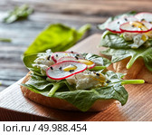 Light healthy sandwiches with bread toasts, soft cheese and freshly picked organic radishes, spinach on a wooden board. Close-up. Italian tomato homemade bruschetta with chopped vegetables, mozzarella, herbs and crusty ciabatta bread on a wooden board. Стоковое фото, агентство Ingram Publishing / Фотобанк Лори