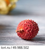 Tropical fresh fruit ripe litchi single on a gray wooden table with place for text. Close-up.. One fresh red ripe lychee, Litchi chinensis tropical fruit isolated on gray background. Стоковое фото, агентство Ingram Publishing / Фотобанк Лори