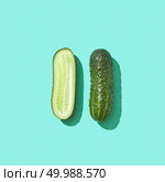 Fresh cucumber and half on blue background with reflection of shadows and space for text. Organic healthy food. Top view. Whole and half organic cucumber on a blue background with copy space and shadow. Healthy diet food. Top view. Стоковое фото, агентство Ingram Publishing / Фотобанк Лори