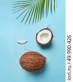 Composition from a palm green leaf and a coconut in the form of a smile face on a blue background with space for the text. Creative layout for your ideas. Flat lay. Organic coconut and green palm leaf on a blue background presented in the form of a smile face. Flat lay. Стоковое фото, агентство Ingram Publishing / Фотобанк Лори