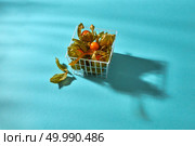 Fresh juicy organic physalis or gooseberry in basket on with reflection of a shadow on a blue background.. Ripe physalis with a peel in a basket on a blue background. Стоковое фото, агентство Ingram Publishing / Фотобанк Лори