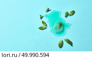 Abstract composition of melted ice cream on a blue glass background with mint leaves clear boundaries and reflection. Top view. Flat lay of a puddle of melted green mint ice cream with mint leaves on a blue glass background with reflection. Стоковое фото, агентство Ingram Publishing / Фотобанк Лори