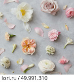 Closeup of composition of different flowers over grey background represented separately one from another. Woman’s Day concept.. Composition of flowers on grey background. Стоковое фото, агентство Ingram Publishing / Фотобанк Лори