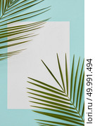 Angular frame decorated with palm leaves. White space can be used for any emotion ideas. frame decorated with palm leaves. Стоковое фото, агентство Ingram Publishing / Фотобанк Лори