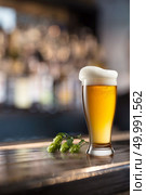 cold beer glass on bar or pub desk and branch of hop cones. Glass of beer on wooden table and blurred background. Стоковое фото, агентство Ingram Publishing / Фотобанк Лори