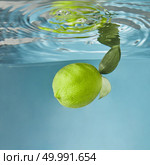 Green lime with green leaves falling down into water with splash and reflection from the water surface , on a blue background. Shooting underwater in an aquarium.. A whole green lime fresh, with green leaves falling down into the water with a splash on a blue background. Стоковое фото, агентство Ingram Publishing / Фотобанк Лори
