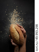 Baker’s hands with a bread with flakes on a black background. hands with a bread. Стоковое фото, агентство Ingram Publishing / Фотобанк Лори