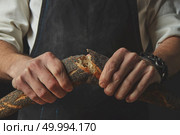 Men Hand breaking and separating a freshly baked baguette with poppy seeds on a dark background. Concept of bread.. hands men break the baguette. Стоковое фото, агентство Ingram Publishing / Фотобанк Лори