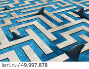 Challenge risk business and insurance symbol as a maze pool infested with dangerous sharks with 3D illustration elements. Стоковое фото, агентство Ingram Publishing / Фотобанк Лори