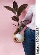 Stylish girl with a tattoo holds a pot with a ficus on a pink background. Flowers shop concept. girl holding a vase with a ficus. Стоковое фото, агентство Ingram Publishing / Фотобанк Лори
