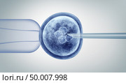 Genetic editing and gene research in vitro CRISPR genome engineering medical biotechnology health care concept with a fertilized human egg embryo and a group of dividing cells as a 3D illustration. Стоковое фото, агентство Ingram Publishing / Фотобанк Лори