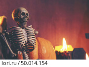 Halloween Human Skull. Стоковое фото, агентство Ingram Publishing / Фотобанк Лори