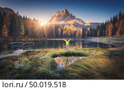 Man with raised up arms on Antorno lake with reflection of Tre Cime Di Lavaredo at sunrise in autumn in Dolomites, Italy. Landscape with happy man, green grass, forest, pond, sun and high rocks. Стоковое фото, агентство Ingram Publishing / Фотобанк Лори