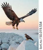 An eagle teaches an eaglet to fly, white cliffs and a gentle dawn. Photorealistic surrealism. Стоковое AI-изображение, AI-художник Анна Никонорова / Фотобанк Лори