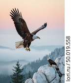 An eagle teaches an eaglet to fly, white cliffs and a gentle dawn. Photorealistic surrealism. Стоковое AI-изображение, AI-художник Анна Никонорова / Фотобанк Лори
