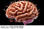 The human brain is teeming with worms. Стоковое AI-изображение, AI-художник Анна Никонорова / Фотобанк Лори