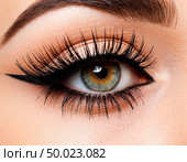 False eyelashes on a woman's face close-up. Стоковое AI-изображение, AI-художник Анна Никонорова / Фотобанк Лори
