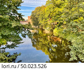 Литовский ручей в Калининграде осенью в солнечную погоду. Стоковое фото, фотограф Овчинникова Ирина / Фотобанк Лори