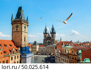 Gulls over Prague chimes and Tynsky cathedral at summer day. Стоковое фото, агентство Ingram Publishing / Фотобанк Лори