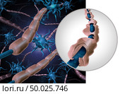 Multiple sclerosis myelin disease or MS autoimmune disorder with healthy nerve with exposed fibre with scarrred cell sheath loss as a 3D illustration. Стоковое фото, агентство Ingram Publishing / Фотобанк Лори