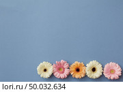 Popular computer game Snake from appearing and moving on the erana of delicate flowers on a pastel blue background. Stop motion animation. Flat lay.. Emerging and moving gerbera flowers on a blue paper background in the form of the popular computer game Snake. Stop motion animation. Стоковое фото, агентство Ingram Publishing / Фотобанк Лори