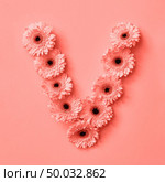 Creative pattern letter V from gerbera flowers on a color background of the year 2019 Living Coral Pantone. Letter V as a part of the word LOVE, floral alphabet. Concept St. Valentine’s Day.. Floral letter V made of flowers on a color background of the year 2019 Living Coral Pantone. Part of the word LOVE , floral alphabet. Top view. Place for text. Стоковое фото, агентство Ingram Publishing / Фотобанк Лори