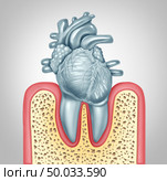 Dental care or oral health and heart disease hygiene concept caused by tooth plaque and gum infection due to mouth bacteria damaging the valves as teeth shaped as a cardiovascular organ as a 3D illustration. Стоковое фото, агентство Ingram Publishing / Фотобанк Лори