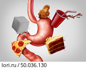 Digestive health and affects of junk food on the stomach and the digestion system in a 3D illustration style. Стоковое фото, агентство Ingram Publishing / Фотобанк Лори