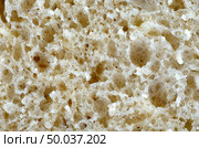 Biological texture. Element of design. Стоковое фото, агентство Ingram Publishing / Фотобанк Лори