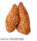 Thymus gland anatomy icon isolated on a white background in a 3D illustration style. Стоковое фото, агентство Ingram Publishing / Фотобанк Лори
