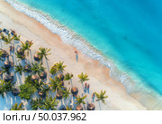 Aerial view of umbrellas, palms on the sandy beach, people, blue sea with waves at sunset. Summer holiday in Zanzibar, Africa. Tropical landscape with palm trees, parasols, white sand, ocean. Top view. Стоковое фото, агентство Ingram Publishing / Фотобанк Лори