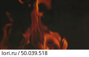 Burning fire flame on dark background. Стоковое видео, видеограф Михаил Коханчиков / Фотобанк Лори