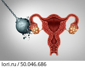 Strong female fertility or healthy uterus and ovaries with fallopian tubes as a mentrual pain or reproduction concept as a symbol of fertile women reproductive system health with 3D illustration elements. Стоковое фото, агентство Ingram Publishing / Фотобанк Лори
