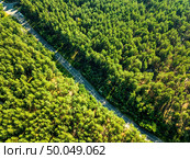 The road with a passing car through the foliage of the forest on a sunny day. Nature conservation concept. Aerial view of the drone as a natural layout. Foliage green forest with asphalt road on sunny day, natural beautiful background. Aerial view from the drone. Стоковое фото, агентство Ingram Publishing / Фотобанк Лори