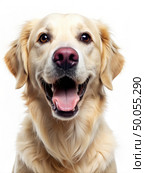 Close Up of Dog With Open Mouth. Generative AI. Стоковое AI-изображение, AI-художник Roman Zavorotny / Фотобанк Лори