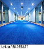 Large Blue Carpeted Hallway With Glass Doors. Generative AI. Стоковое AI-изображение, AI-художник Roman Zavorotny / Фотобанк Лори