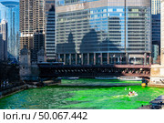 Chicago Skylines building along green dyeing river of Chicago River on St. Patrick’s day festival in Chicago Downtown IL USA. Стоковое фото, агентство Ingram Publishing / Фотобанк Лори