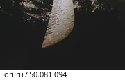 Drops of water on the blade of an expensive exclusive kitchen knife. Стоковое видео, видеограф Aleksey Kidisyuk / Фотобанк Лори