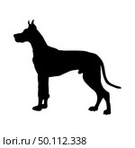 Great Dane Dog Silhouette. Smooth Vector Illustration. Стоковая иллюстрация, агентство Ingram Publishing / Фотобанк Лори