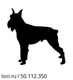 Shnauzer Dog Silhouette. Smooth Vector Illustration. Стоковая иллюстрация, агентство Ingram Publishing / Фотобанк Лори