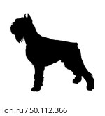 Shnauzer Dog Silhouette. Smooth Vector Illustration. Стоковая иллюстрация, агентство Ingram Publishing / Фотобанк Лори